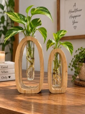 Pine wood plant holder set of 2 with glass test tubes