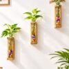 Wooden glass test tube planter set of 3 with wooden stands