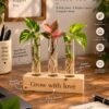 Wooden test tube planter with 3 glass tubes